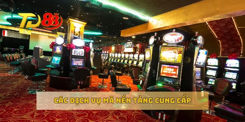 Các dịch vụ mà nền tảng cung cấp